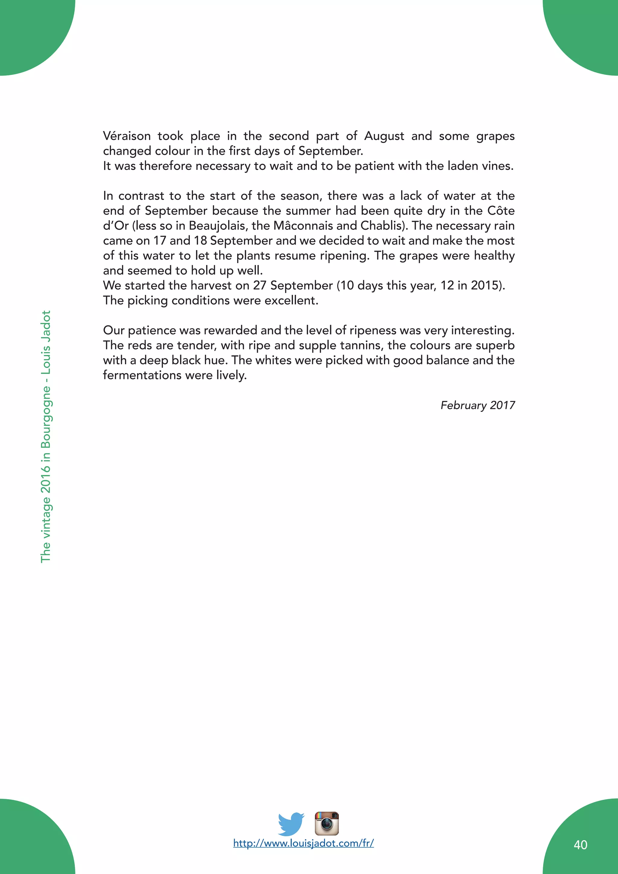 Véraison took place in the second part of August and some grapes
changed colour in the first days of September.
It was therefore necessary to wait and to be patient with the laden vines.
In contrast to the start of the season, there was a lack of water at the
end of September because the summer had been quite dry in the Côte
d’Or (less so in Beaujolais, the Mâconnais and Chablis). The necessary rain
came on 17 and 18 September and we decided to wait and make the most
of this water to let the plants resume ripening. The grapes were healthy
and seemed to hold up well.
We started the harvest on 27 September (10 days this year, 12 in 2015).
The picking conditions were excellent.
Our patience was rewarded and the level of ripeness was very interesting.
The reds are tender, with ripe and supple tannins, the colours are superb
with a deep black hue. The whites were picked with good balance and the
fermentations were lively.
February 2017
http://www.louisjadot.com/fr/
Thevintage2016inBourgogne-LouisJadot
40
 