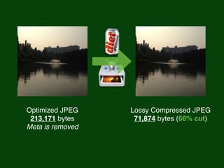 Optimized JPEG 
213,171 bytes 
Meta is removed 
Lossy Compressed JPEG 
71,874 bytes (66% cut) 
 