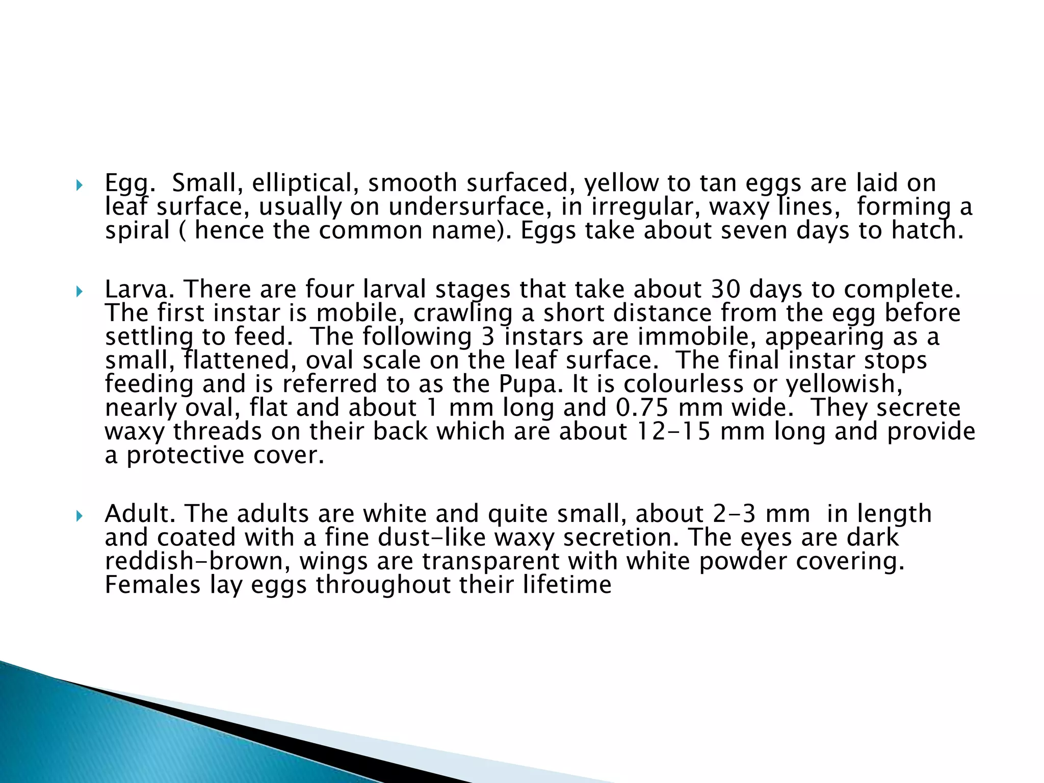  Egg. Small, elliptical, smooth surfaced, yellow to tan eggs are laid on
leaf surface, usually on undersurface, in irregular, waxy lines, forming a
spiral ( hence the common name). Eggs take about seven days to hatch.
 Larva. There are four larval stages that take about 30 days to complete.
The first instar is mobile, crawling a short distance from the egg before
settling to feed. The following 3 instars are immobile, appearing as a
small, flattened, oval scale on the leaf surface. The final instar stops
feeding and is referred to as the Pupa. It is colourless or yellowish,
nearly oval, flat and about 1 mm long and 0.75 mm wide. They secrete
waxy threads on their back which are about 12-15 mm long and provide
a protective cover.
 Adult. The adults are white and quite small, about 2-3 mm in length
and coated with a fine dust-like waxy secretion. The eyes are dark
reddish-brown, wings are transparent with white powder covering.
Females lay eggs throughout their lifetime
 