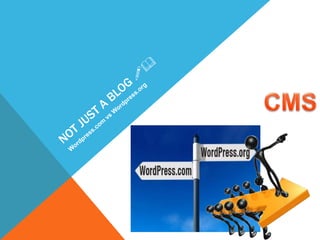 Wordpress CMS