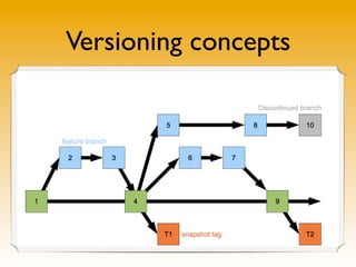 Versioning concepts
 