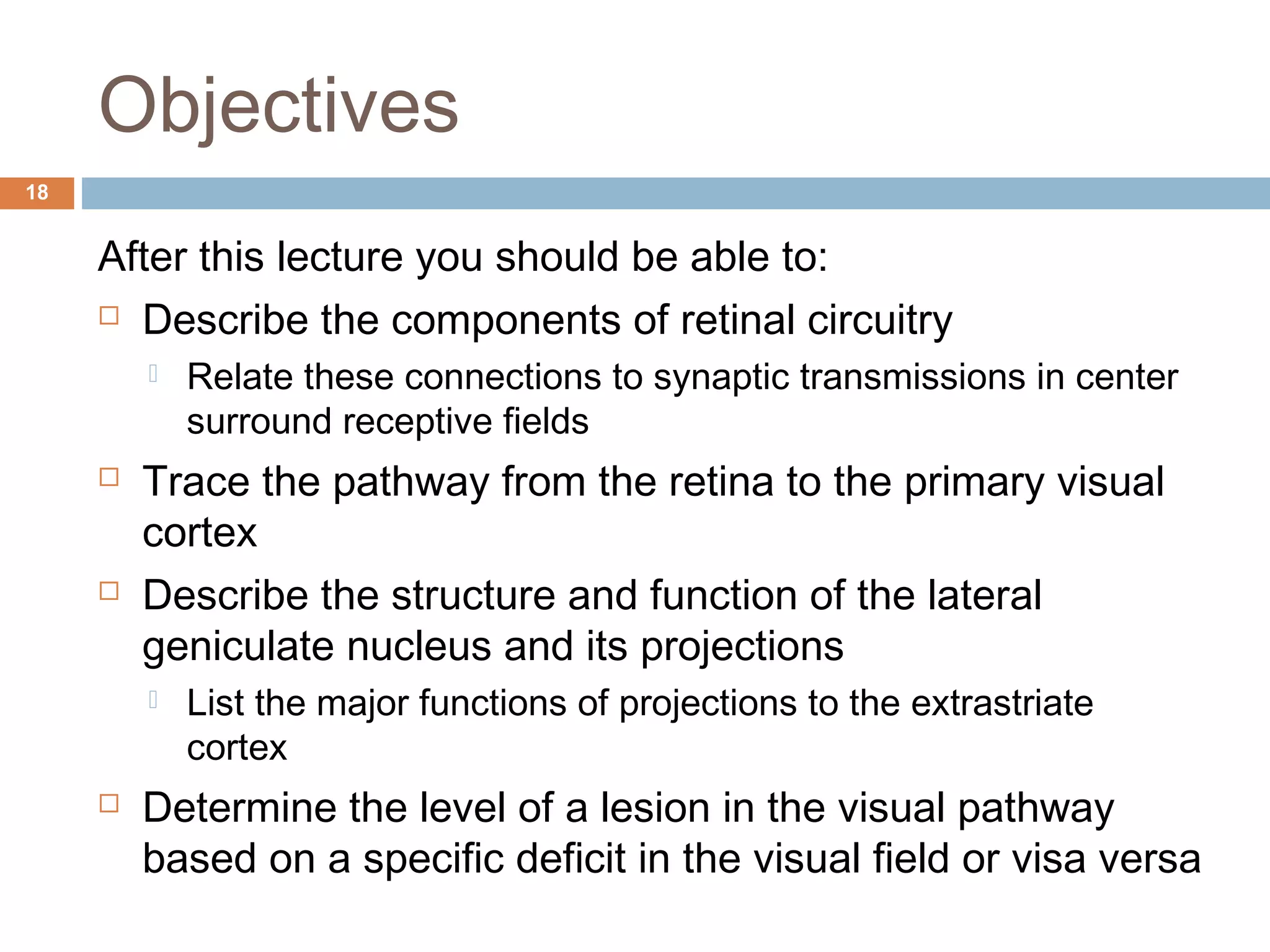 Objectives 
After this lecture you should be able to: 
 Describe the components of retinal circuitry 
 Relate these connections to synaptic transmissions in center 
surround receptive fields 
 Trace the pathway from the retina to the primary visual 
cortex 
 Describe the structure and function of the lateral 
geniculate nucleus and its projections 
 List the major functions of projections to the extrastriate 
cortex 
 Determine the level of a lesion in the visual pathway 
based on a specific deficit in the visual field or visa versa 
18 
 