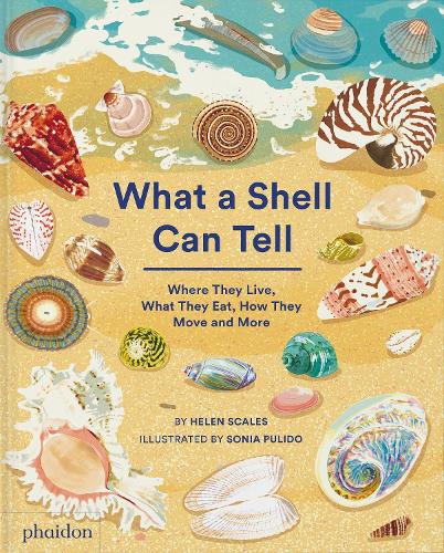 What A Shell Can Tell bookcover