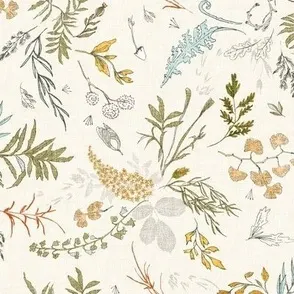 Herbarium Botanicals