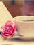 Mostafa