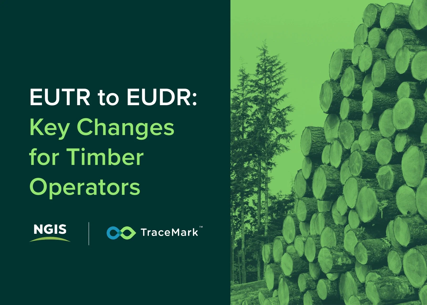 TraceMark Timber Cover