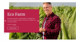 Exclusive Html Code For Eco Farm