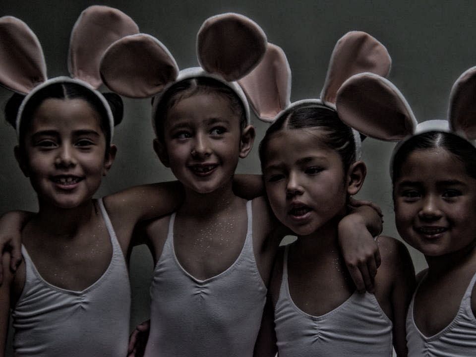 bunnies