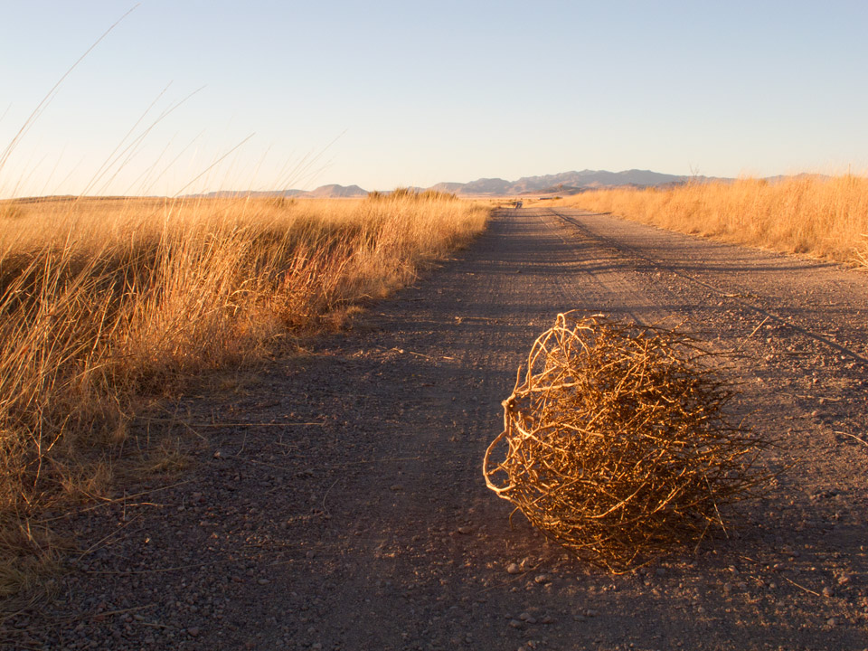 Tumbleweed3