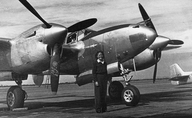 ww024wasp