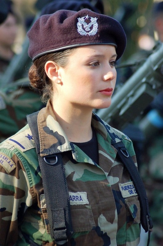 ww241