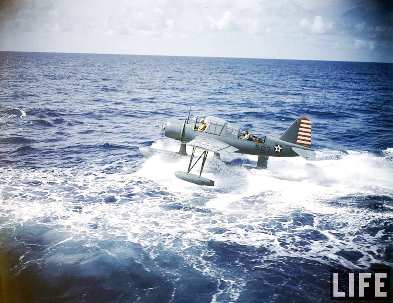 Kingfisher_05