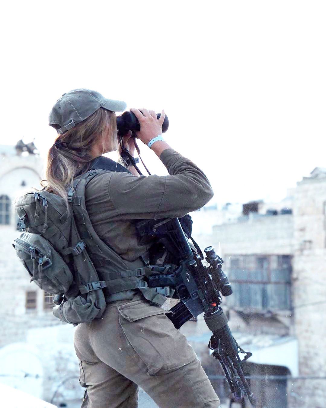 ww442_IDF