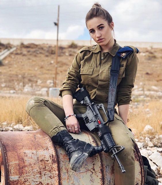 ww454_IDF