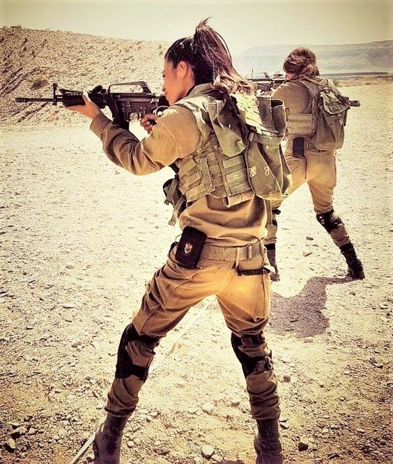 ww489c_IDF
