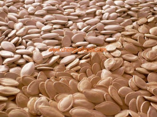 Pumpkin-Seeds-New-Crop-2008 Pumpkin-Seeds-New-Crop-2008