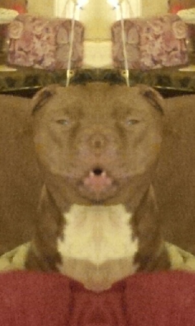 PhotoLab_20131214_115756.jpg image