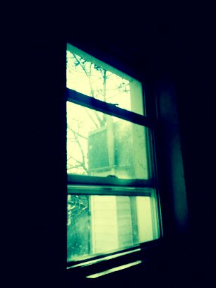 IMG_10002_zps53b6e780.jpg image