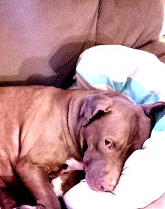 IMG_14163360_edit_0_1.jpg image