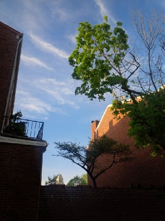 IMG_14164461.jpg image