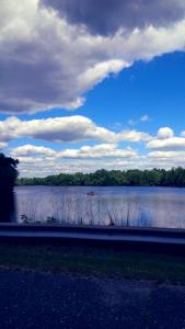 IMG_14168434(1)_1(1)