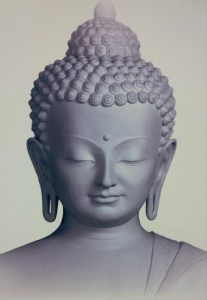 IMG_14163653