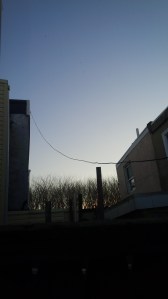 IMG_14172696