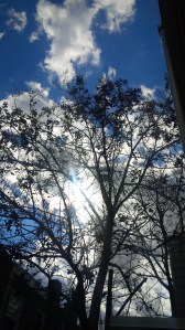 IMG_14172706(1)