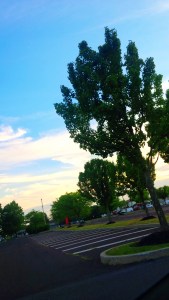 20150819122537
