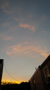 IMG_14173733