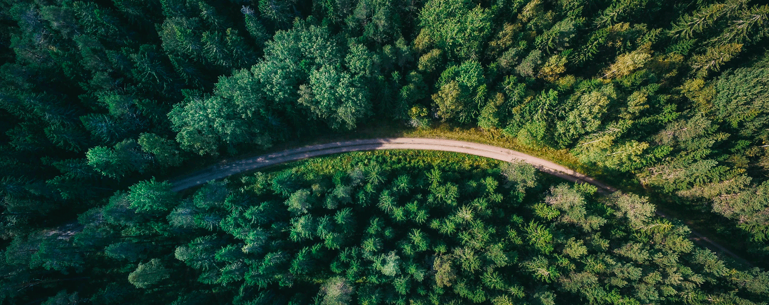 Roadmap