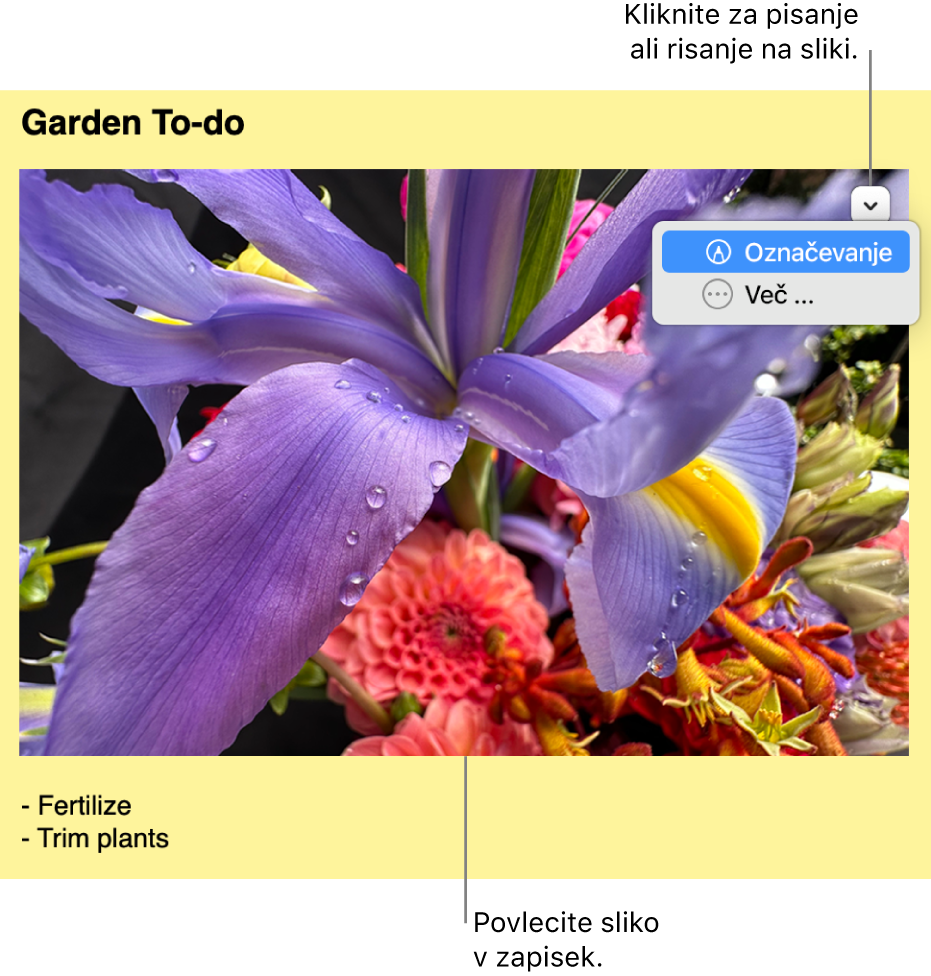 Odprt listek s sliko.