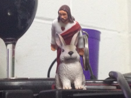 I've got you now, Bunny.....