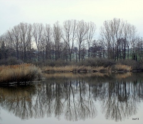 marais Lentigny, reflets marais Lentigny, reflets