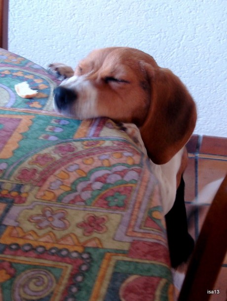 Nino, greedy 2