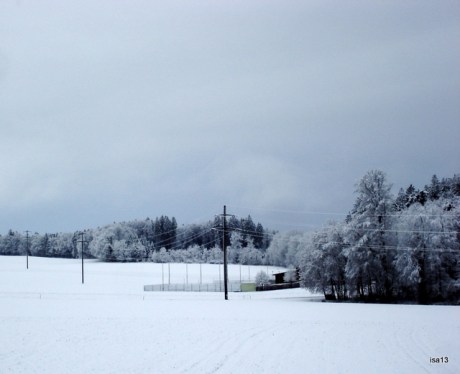 1er avril, forêt