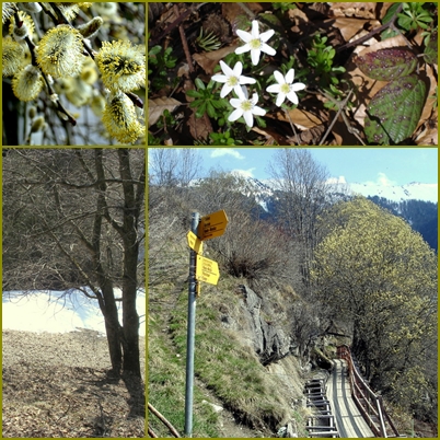 mosaic bisse printemps