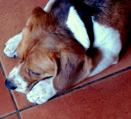 so tired
