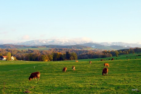 Grangeneuve 2