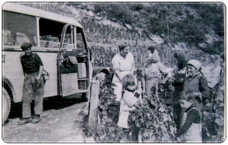 vendanges, famille 1