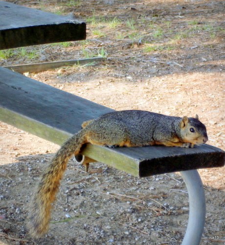 fatigué