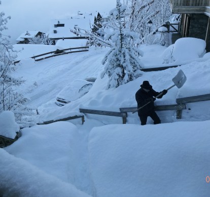 hiver-pelle