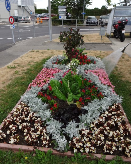 fleurs, veges, parterre