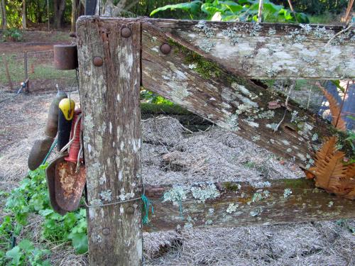 Garden gate.