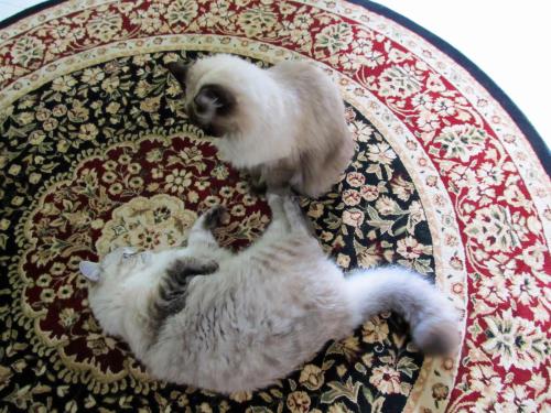 Play time.