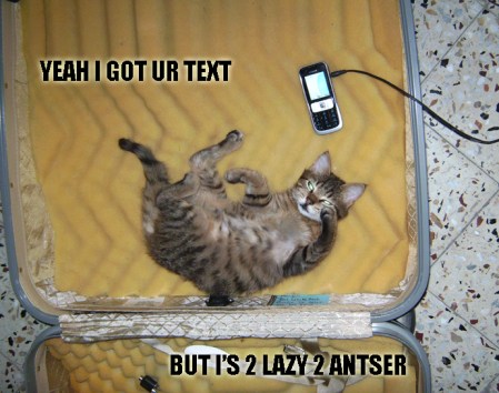 LOLcat