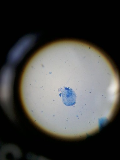 2013-07-08 13.11.30
