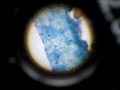 2013-08-02 12.46.24