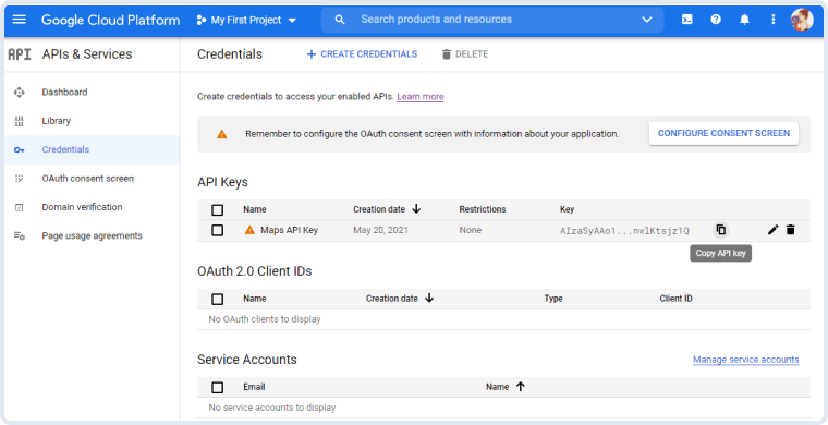 copying the google maps api key