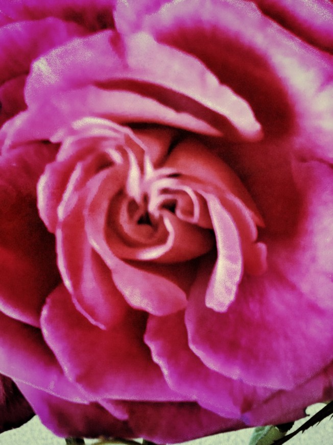 image (2)